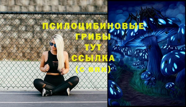 хмурый Волосово