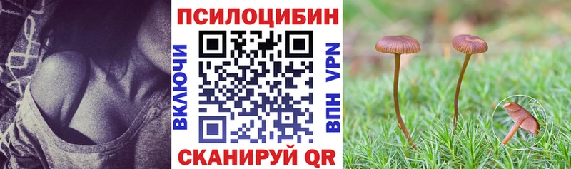 Псилоцибиновые грибы мухоморы  Волхов 